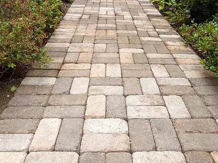 Paving Stone